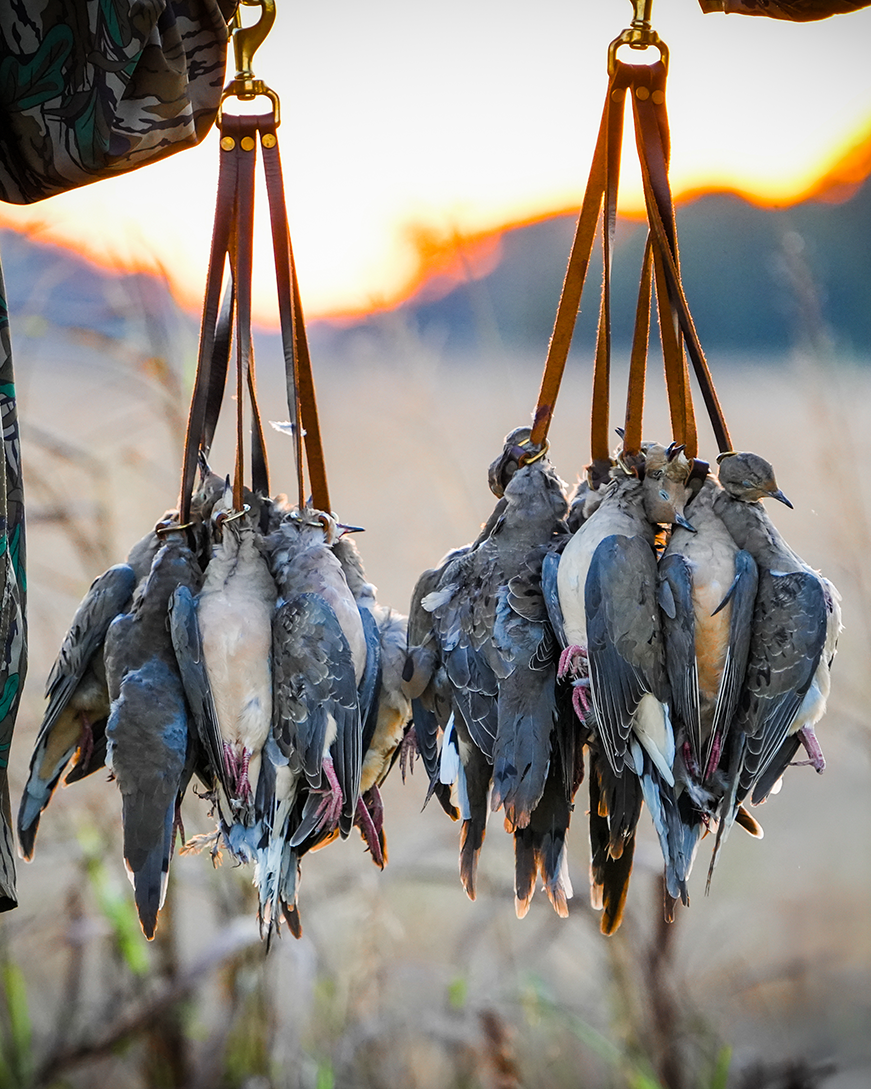 doves